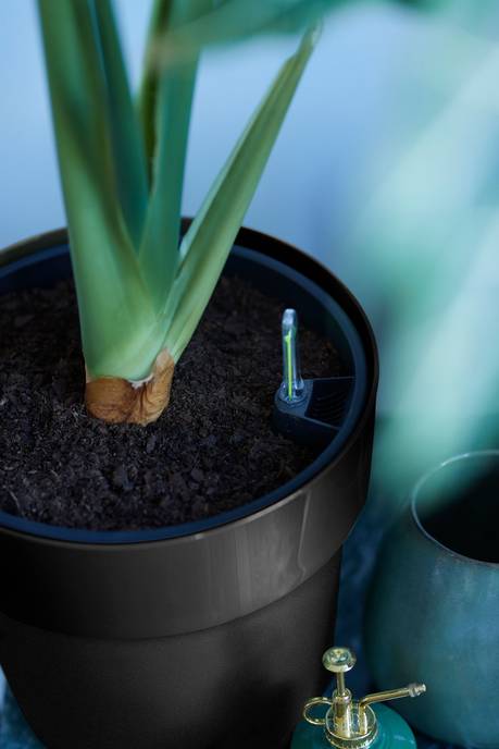 b.for original rond 18cm living noir